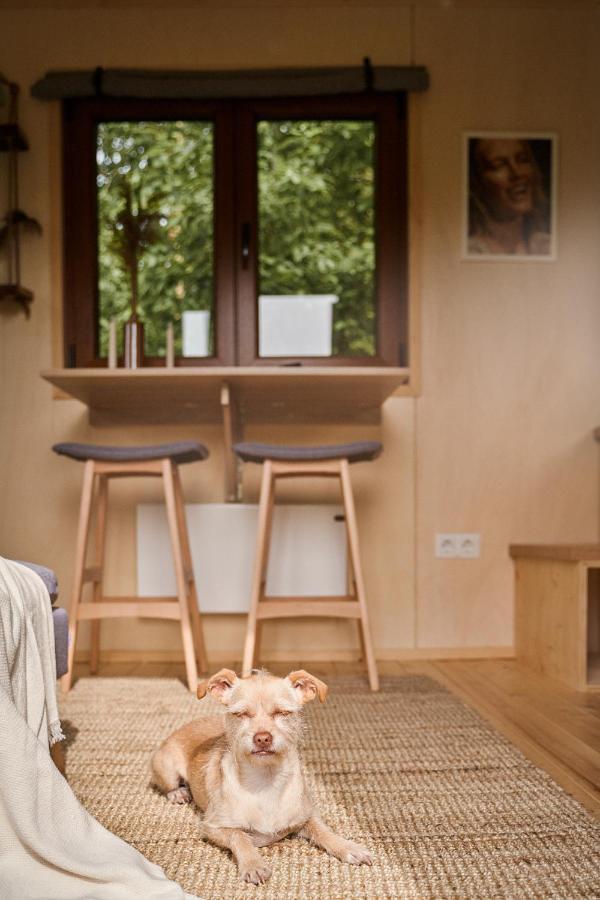 Tiny House Эребру Экстерьер фото